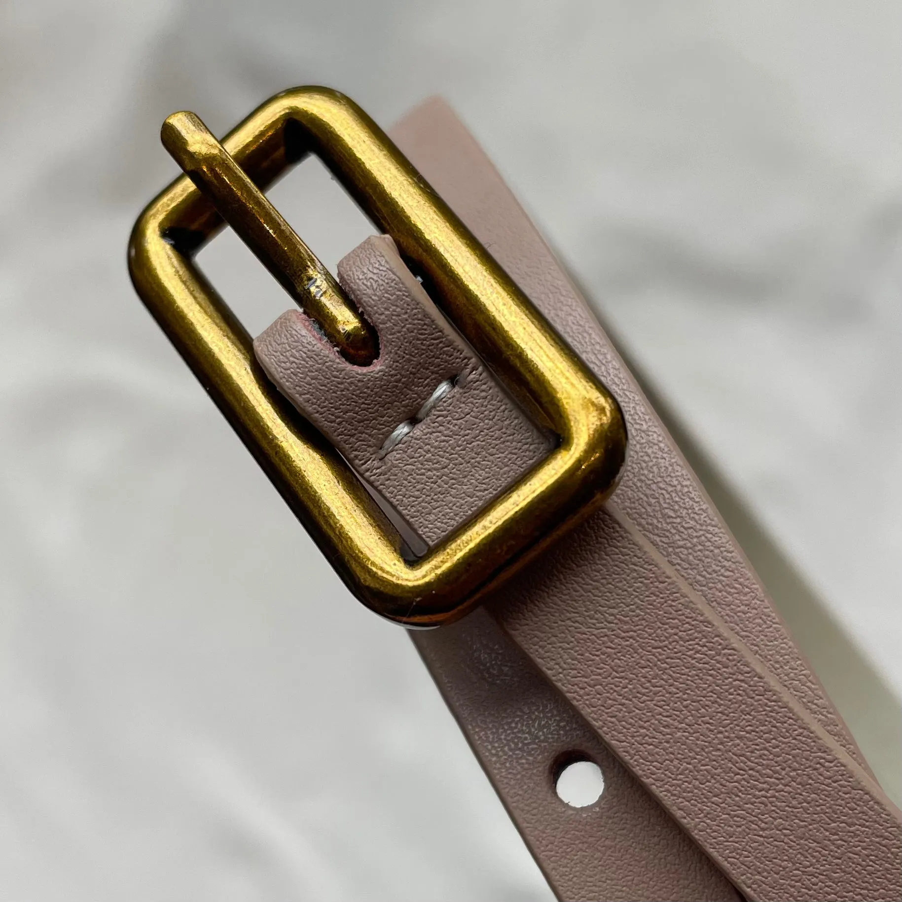 Angela Belt