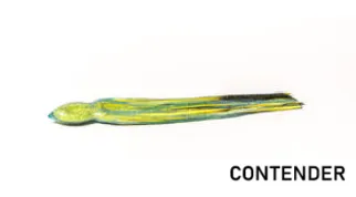 Bonze "BTK" Lures