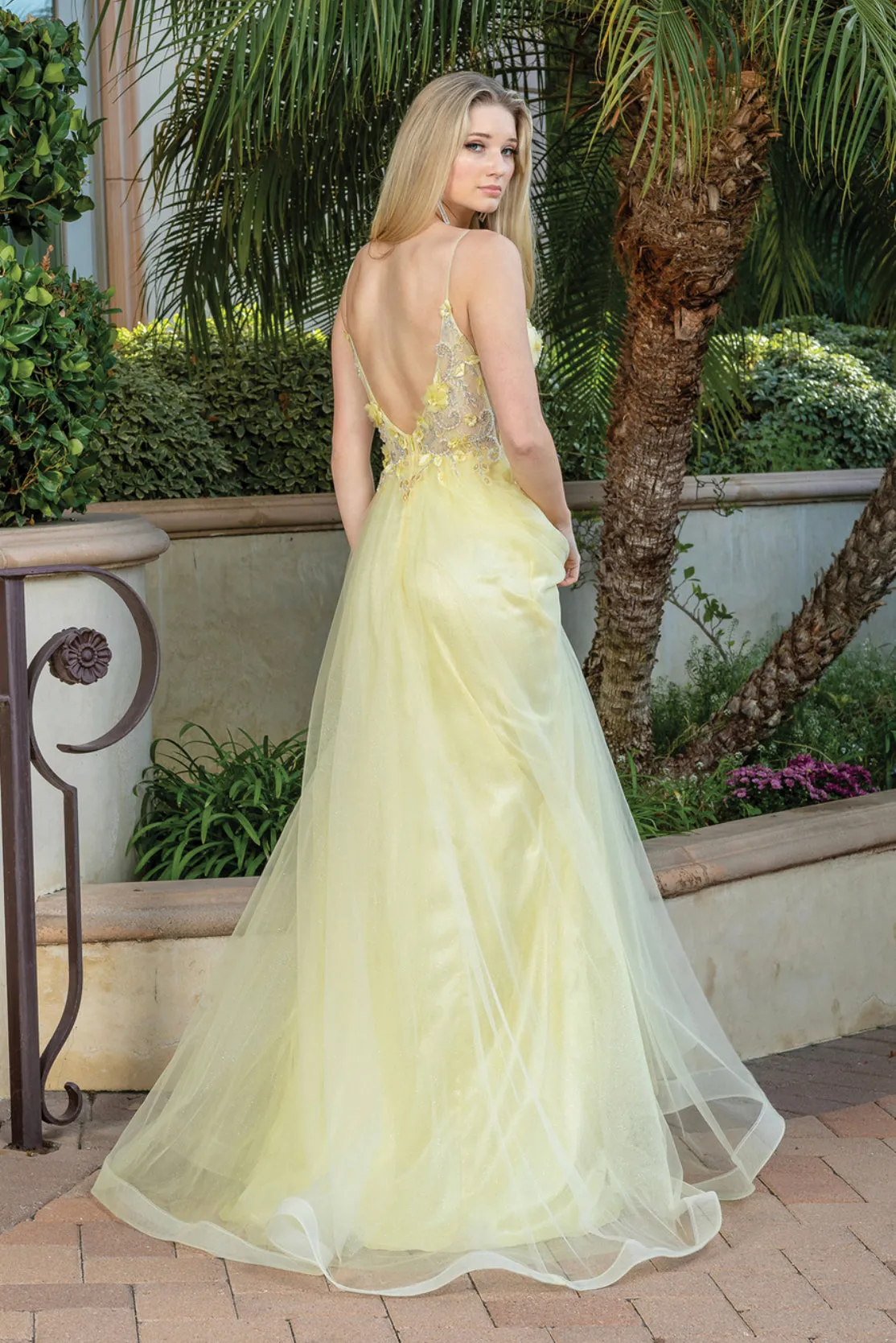 Dancing Queen Evening Gowns 4276