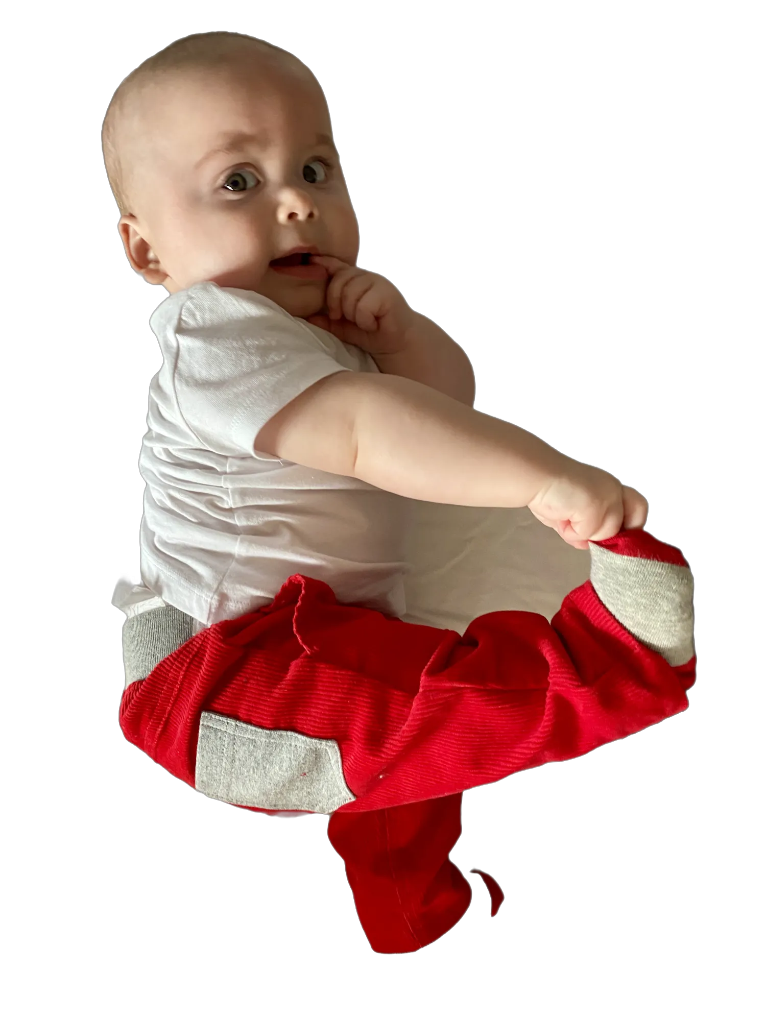 Sockatoos Original Cords - RED
